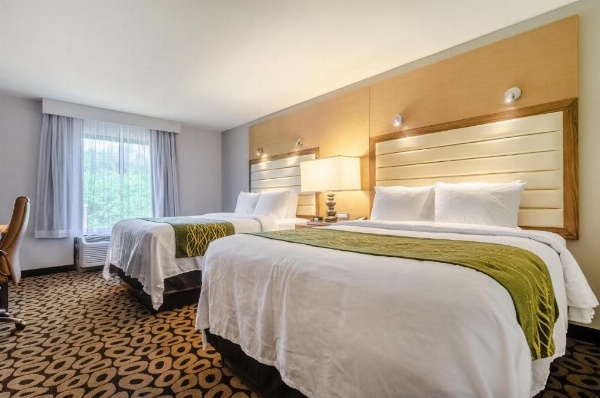 Comfort Inn Raleigh Midtown image 26