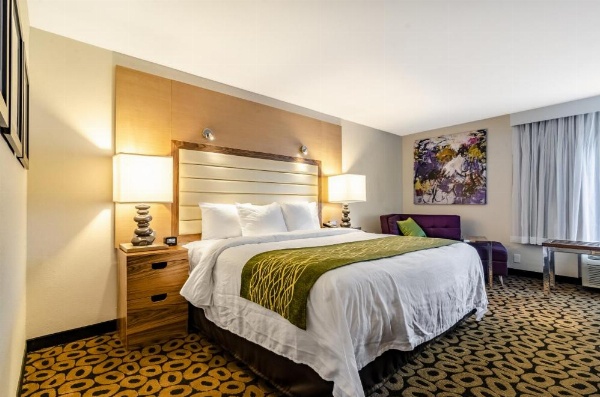 Comfort Inn Raleigh Midtown image 27