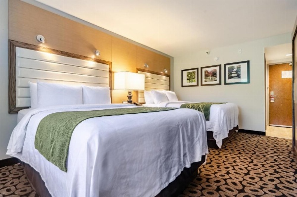 Comfort Inn Raleigh Midtown image 30