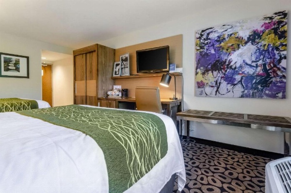 Comfort Inn Raleigh Midtown image 8